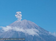 Kami Pagi, Semeru Erupsi Tinggi Letusan Capai 4.776 MDPL