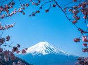 Jepang Gencar Tarik Wisatawan Muslim dan Vegetarian Lewat Piktogram