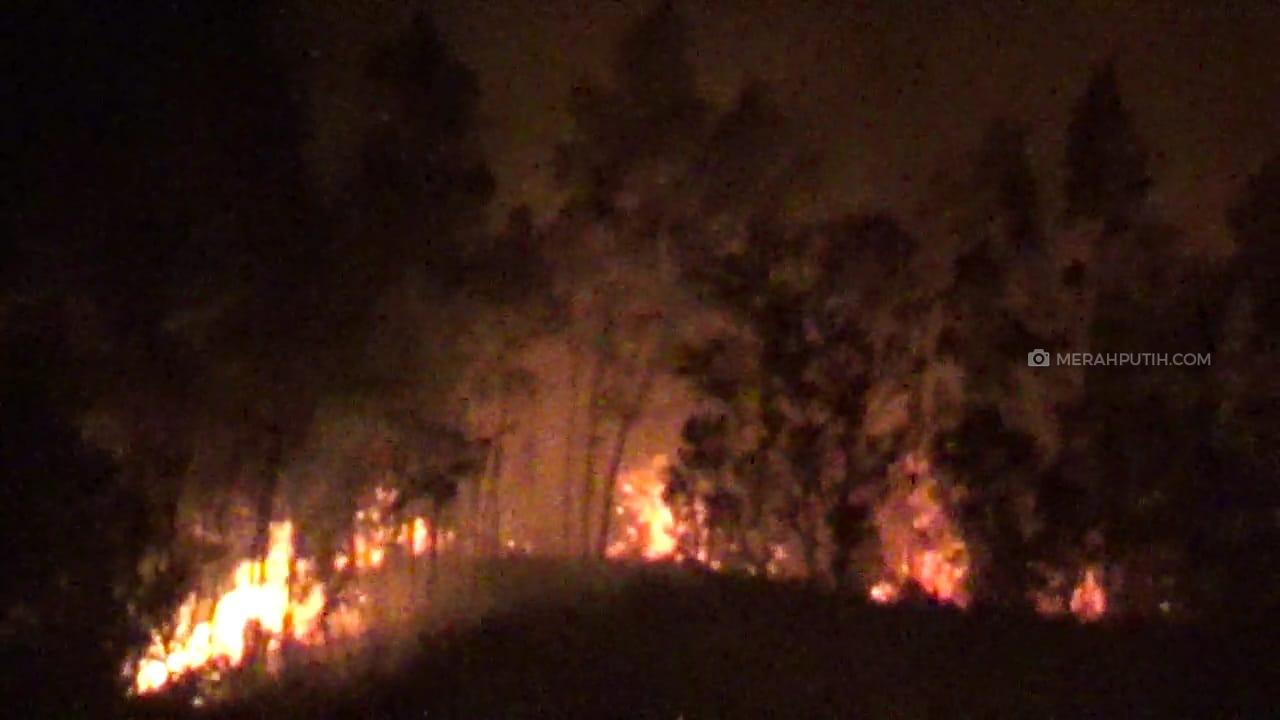 4,5 Hektare Hutan di Selatan Gunung Lawu Kembali Terbakar