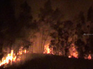 4,5 Hektare Hutan di Selatan Gunung Lawu Kembali Terbakar