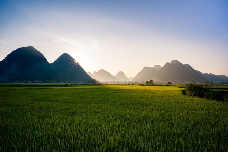 Pesawahan di Sa Pa. (Foto: Pixabay/Kenznguyen)