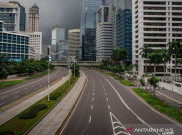Berbagai Opini Negatif soal COVID-19 Dinilai karena Pemerintah Belum All Out