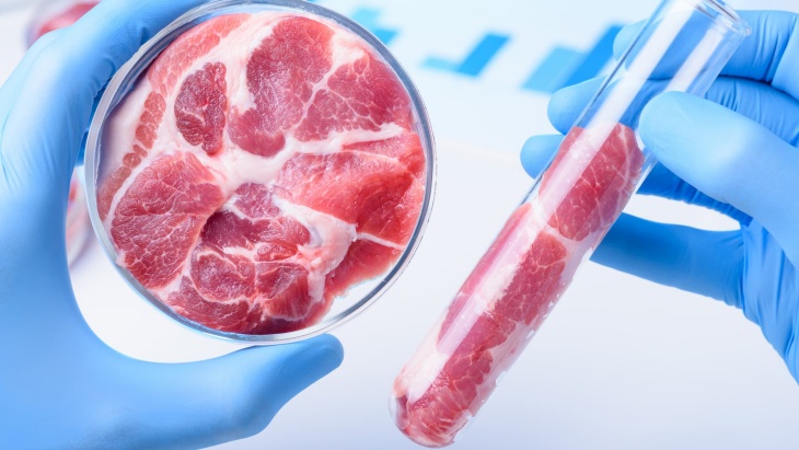 Chicken Nugget dengan Teknologi 3D Bioprinting