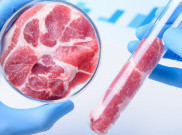Chicken Nugget dengan Teknologi 3D Bioprinting