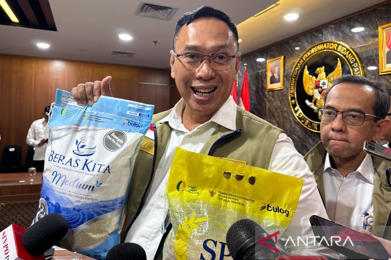 Pemerintah Bakal Luncurkan Beras Kita Ganti Beras SPHP, Warna Kemasan Berubah Jadi Biru