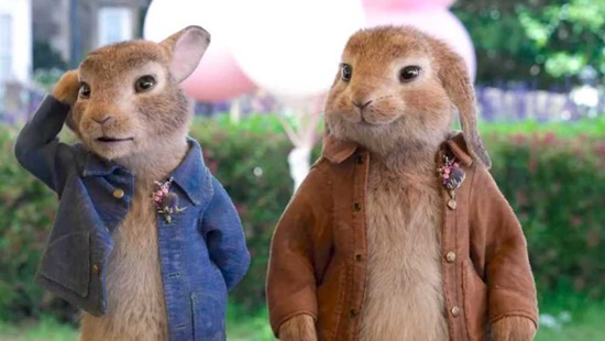 Peter rabbit