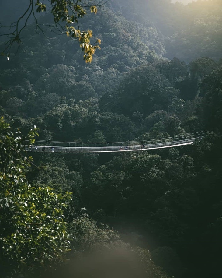 Rayakan Hari Hutan Sedunia, Laleilmanino Berkunjung ke Wisata Situ Gunung