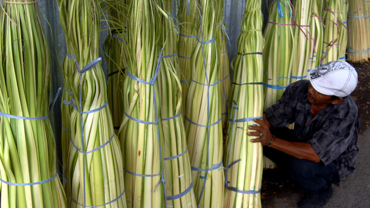 Pedagang merapikan jualan daun kelapa di Pasar Terong, Makassar, Sulawesi Selatan, Senin (11/6). Daun kelapa yang dijadikan sebagai bahan kulit ketupat mulai ramai dijual jelang lebaran dengan harga Rp100.000 per ikat isi 1.000 buah. ANTARA FOTO/Abriawan Abhe/aww/18