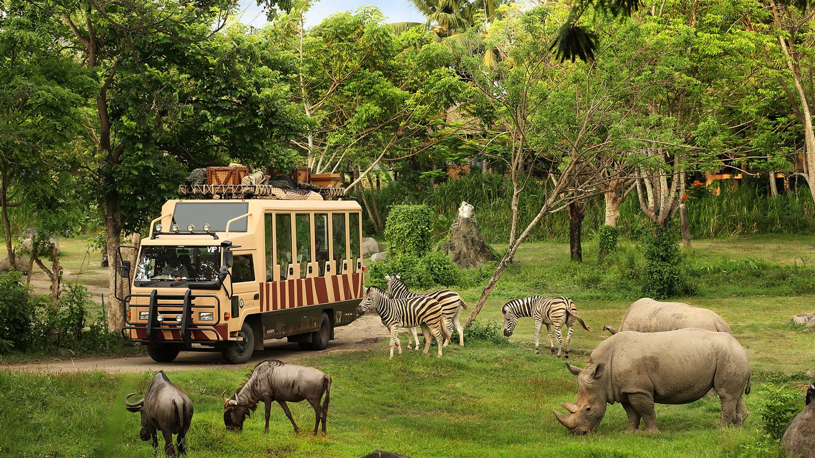 Taman Safari Indonesia Ikut Lelang Pengelolaan Kebun Binatang Bandung, Minta Keterbukaan