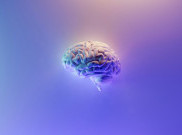 Peneliti Austria Ciptakan Otak Mini Tiruan, Bakal Jadi Alternatif Otak Sungguhan