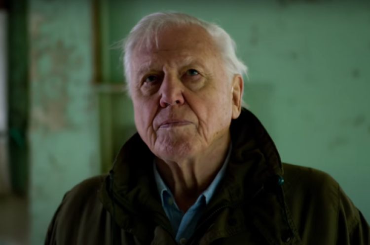 Pesan David Attenborough untuk Penduduk Bumi di A Life On Our Planet