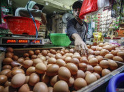Harga Telur Melonjak 32 Persen, Alasanya Harga Jagung Naik dan Produksi Minus