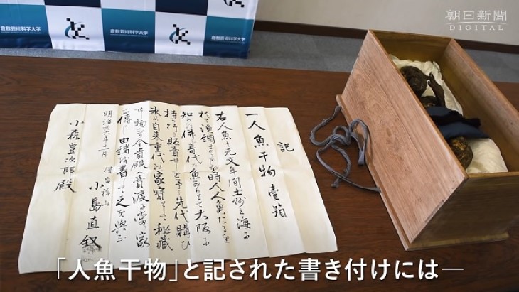 Peneliti di Jepang Ungkap Misteri Mumi Putri Duyung