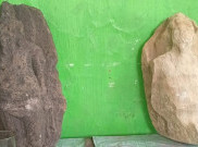 2 Arca Kuno Ditemukan di Sragen, Diduga Peninggalan dari Abad 10-13 Masehi