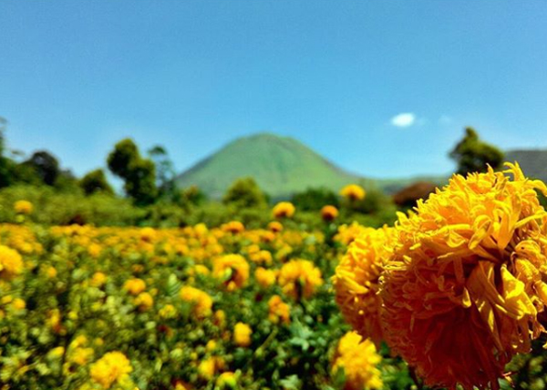kota tomohon