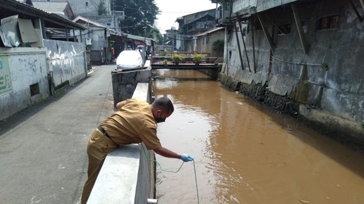 DLH DKI Libatkan IPB Selidiki Kematian Ribuan Ikan Sapu-sapu di Kali Baru