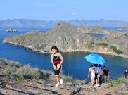 NTT Tetapkan Akses Pulau Komodo Melalui Membership