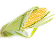Tak Hanya Biji, Rambut Jagung Juga Bernutrisi