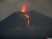 Masa Tanggap Darurat Gunung Semeru Diperpanjang sampai 21 Desember