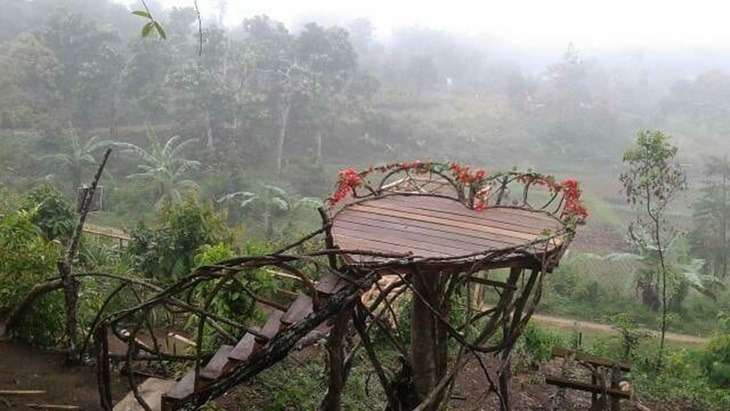 Rumah Pohon Literasi Pagaruyuang. (Instagram/@rumahpohonliterasi)