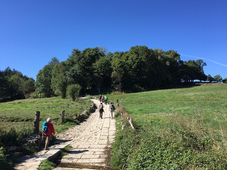   Jalur Camino de Santiago. (Foto: Pixabay/ulma93)