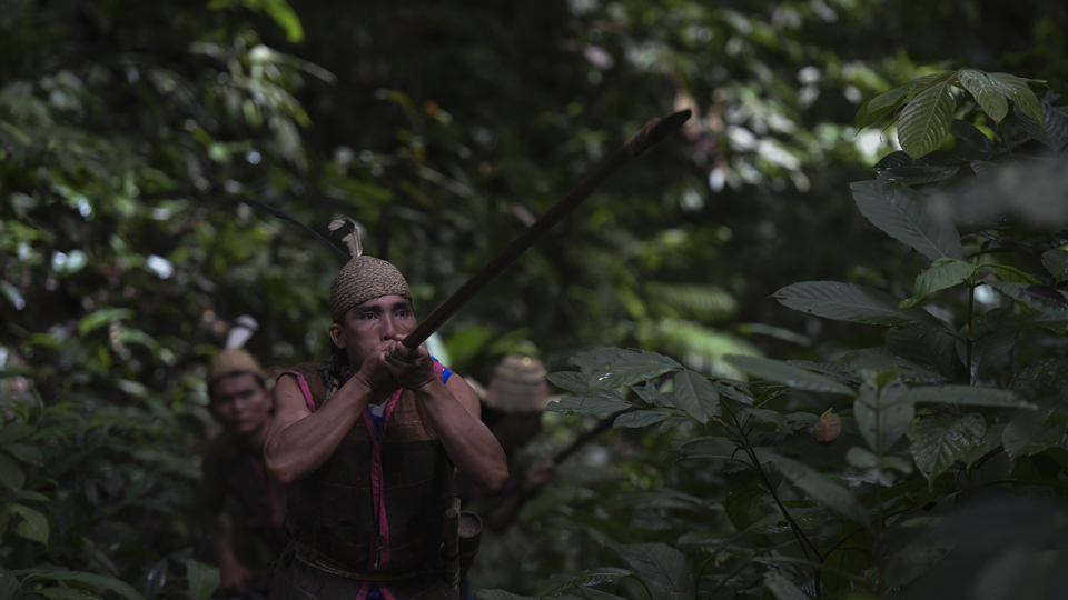 Berburu di Hutan Adat ala Pemuda Dayak Kenyah