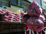 Harga Bawang di Sampit Mulai Turun