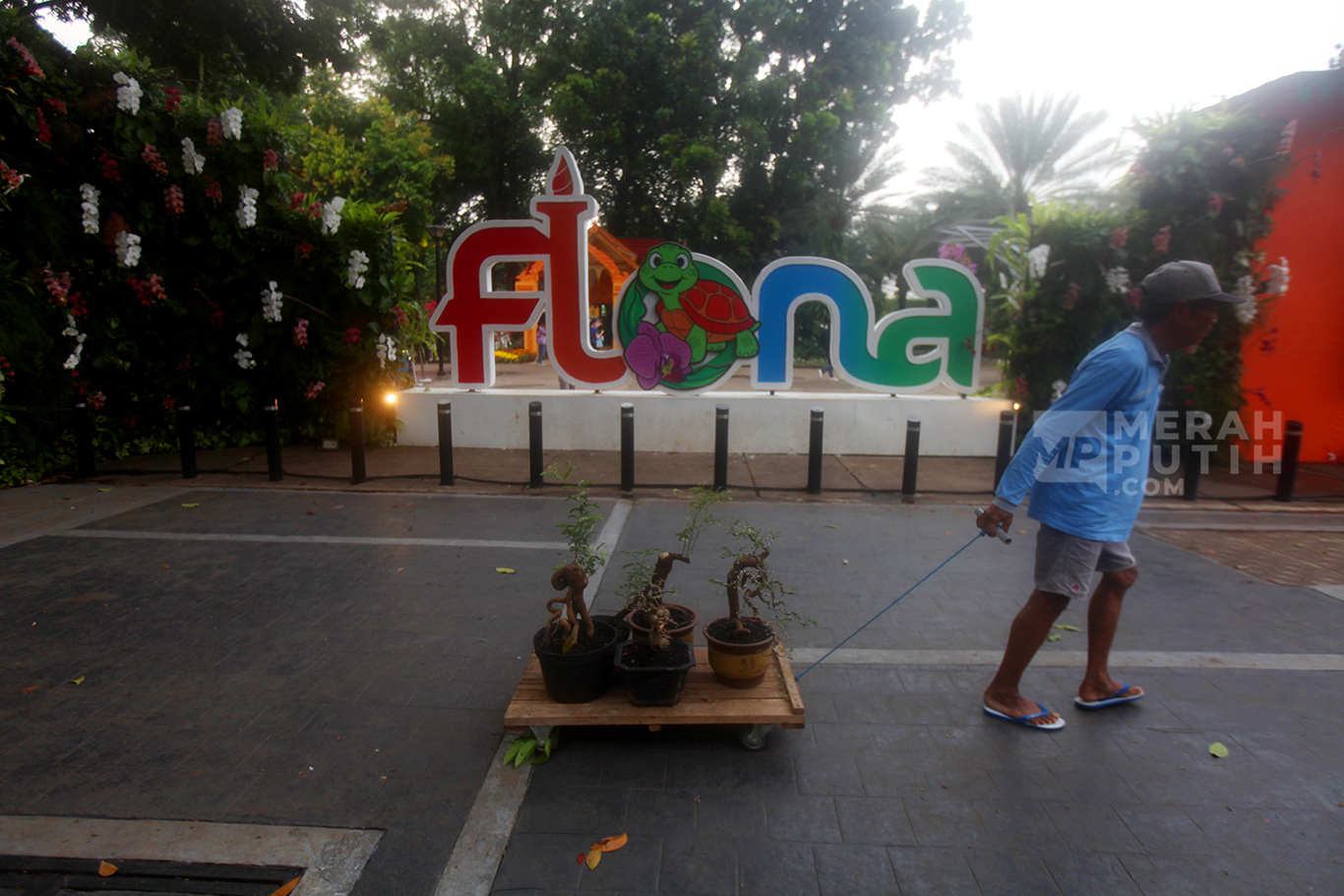 Pedagang membawa tanaman hias dalam pameran Flora dan Fauna (Flona) Jakarta Tahun 2025 di Taman Lapangan Banteng, Sawah Besar, Jakarta Pusat, Senin (18/8/2025). 