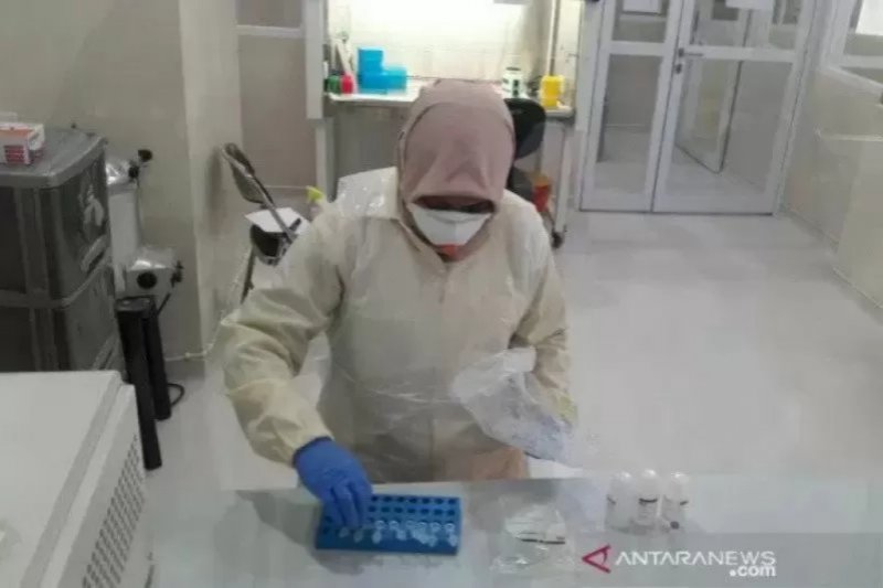 10 Provinsi Sukses Tekan Penambangan Kasus Positif Corona