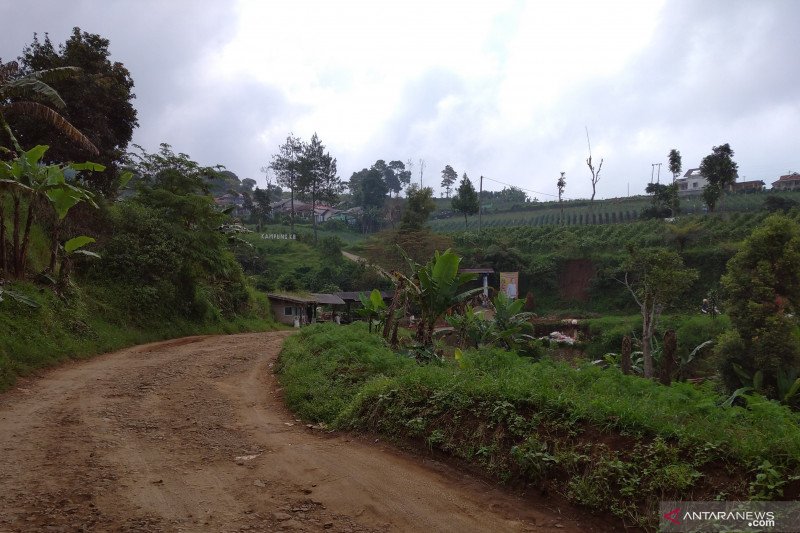 Pemkab Bogor Ingin Jalur Puncak II Segera Dibangun