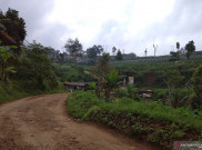 Pemkab Bogor Ingin Jalur Puncak II Segera Dibangun