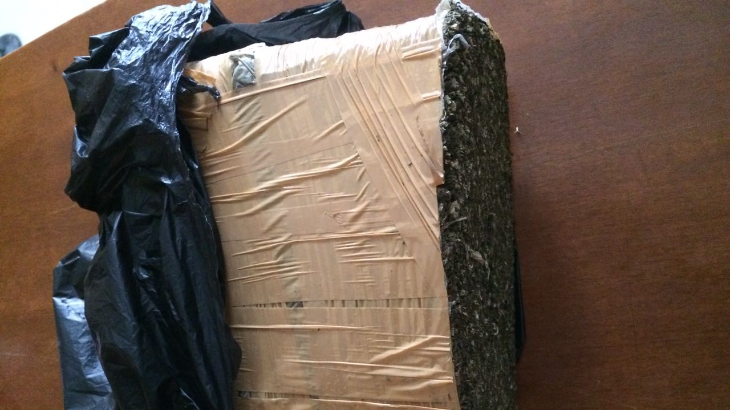 Polisi Amankan 1 Kilogram Ganja di Bandung