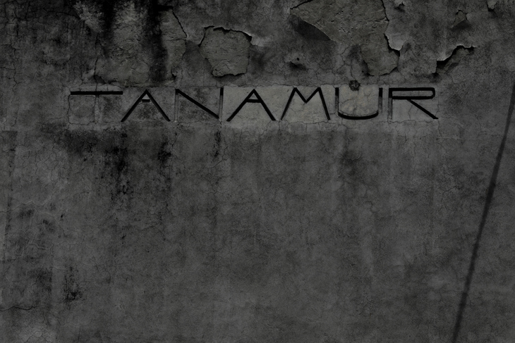 Tanamur