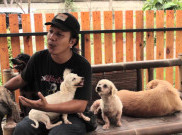 Animal Defenders Indonesia Turun Tangan Selamatkan Hewan Peliharaan Saat Pemiliknya Terpapar COVID-19