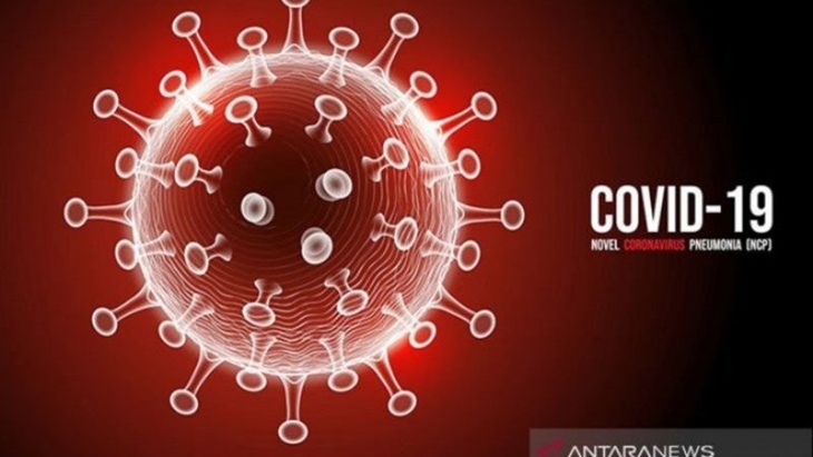 Ilustrasi - Virus Corona (COVID-19). (Dok Antara)