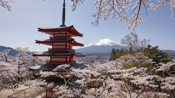 Jepang Segera Bebas Visa, 5 Kota ini Tak Boleh Terlewat Dikunjungi