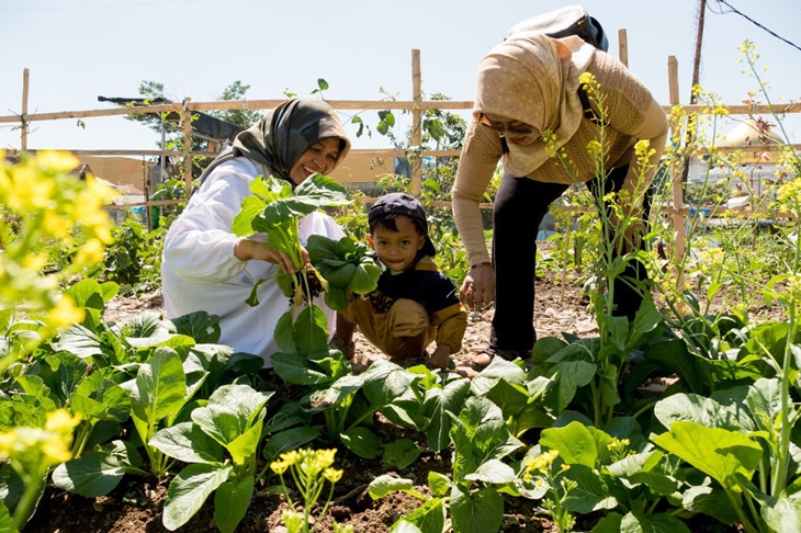berkebun