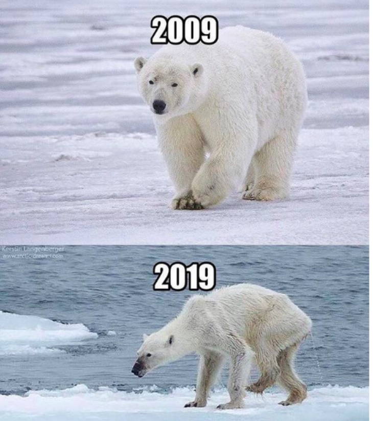 WWF Soroti Isu Krisis Iklim Lewat Meme Memilukan
