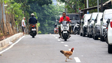 Setelah 30 Tahun Tak Diperbaiki, Warga Nikmati Aspal Baru Jalan Karet Pasar Baru Barat Jakarta