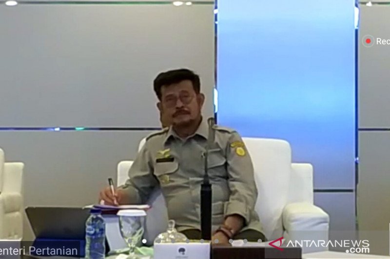 Menteri Pertanian Syahrul Yasin Limpo dalam rapat virtual bersama Komisi IV DPR RI di Jakarta, Kamis (23/4/2020). ANTARA/Mentari Dwi Gayati.