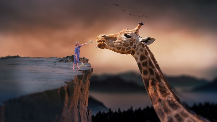 dream