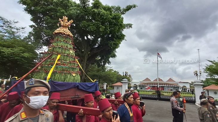 yogya