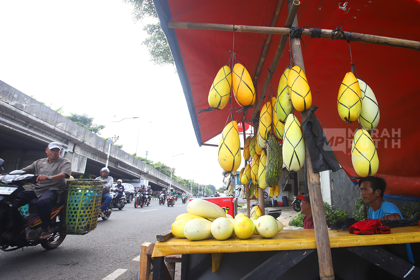 Berkah Ramadan, Penjual Timun Suri Musiman Raup Untung untuk Sajian Berbuka 