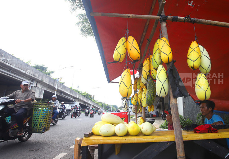 Berkah Ramadan, Penjual Timun Suri Musiman Raup Untung untuk Sajian Berbuka 