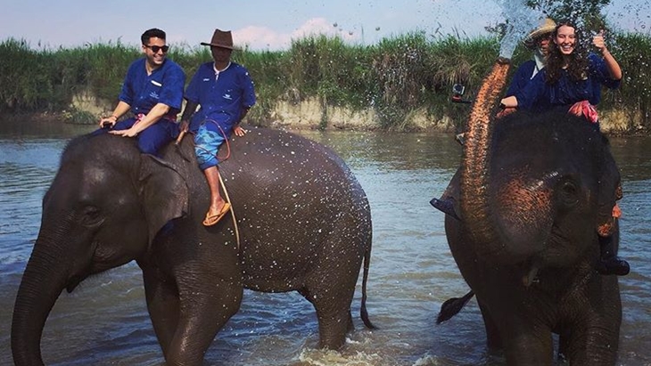 Resort Ini Sajikan Sensasi Penginapan Mewah dan Interaksi dengan Gajah