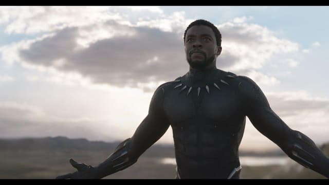 Rumor Terbaru MCU Sebut Tidak ada Casting Ulang untuk Black Panther, akan Digantikan Putra T'Challa