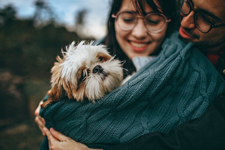 Anjing Bisa Mendeteksi COVID-19 Lewat Liur Manusia?
