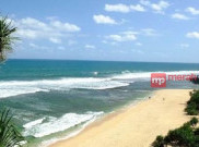 Puluhan Wisatawan di Pantai Gunung Kidul Tersengat Ubur-Ubur