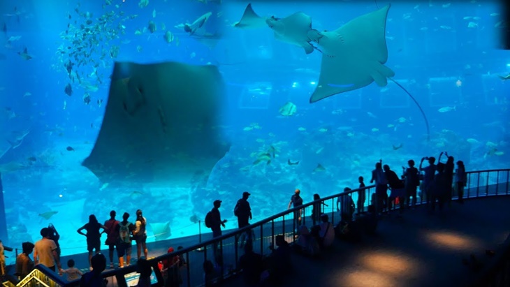 marine life park