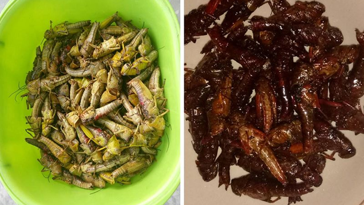 Goreng belalang. (Instagram/ dinay_nduut)